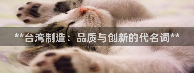 彩神怎么才能赢：**台湾制造：品质与创新的代名词**