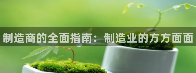 彩神v8平台正规吗可靠吗：制造商的全面指南：制造业的方方面面