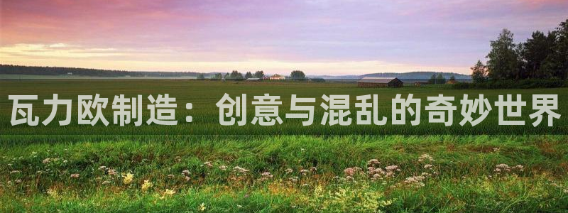 彩神天下专家专栏：瓦力欧制造：创意与混乱的奇妙世界