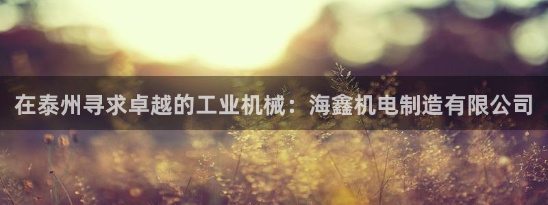 彩神vⅲ下载安装：在泰州寻求卓越的工业机械：海鑫机电制造有限公司
