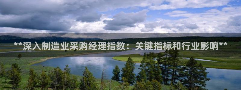 彩神官方邀请码是多少：**深入制造业采购经理指数：关键指标和行业影响**