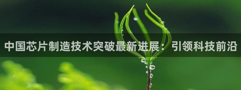 彩神赢的钱是哪里来的：中国芯片制造技术突破最新进展：引领科技