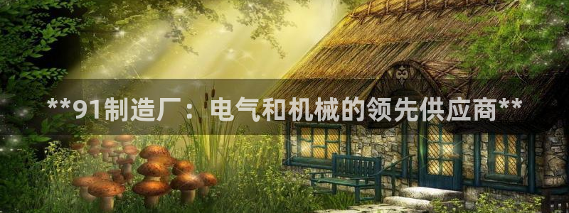 彩神是正规平台吗知乎：**91制造厂：电气和机械的领先供应商