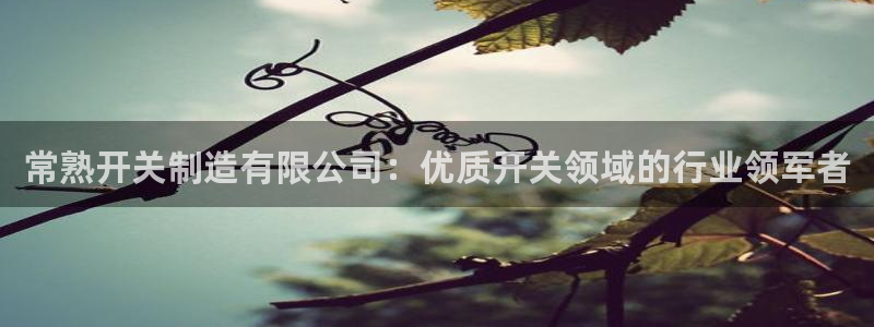 彩神V购彩大厅：常熟开关制造有限公司：优质开关领域的行业领军者