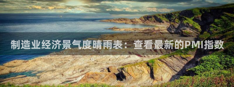 彩神v8是一个什么平台啊：制造业经济景气度晴雨表：查看最新的
