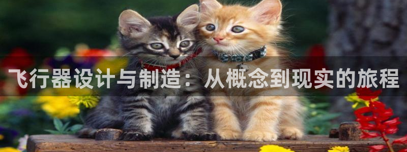 彩神客服电话：飞行器设计与制造：从概念到现实的旅程