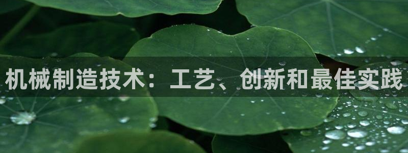 彩神v大众娱乐：机械制造技术：工艺、创新和最佳实践