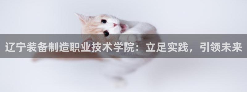 彩神趣购彩用户注册：辽宁装备制造职业技术学院：立足实践，引领未来