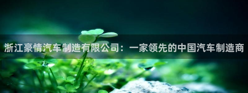 彩神8是正规平台吗知乎：浙江豪情汽车制造有限公司：一家领先的中国汽车制造商