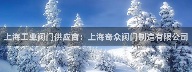 彩神v8手机客户端怎么下载：上海工业阀门供应商：上海奇众阀门制造有限公司