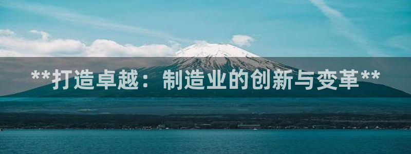 彩神系列平台：**打造卓越：制造业的创新与变革**