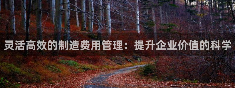 彩神8彩平台官网：灵活高效的制造费用管理：提升企业价值的科学