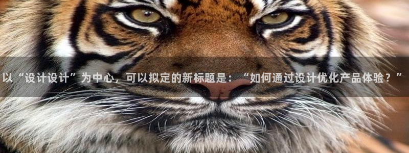彩神盈利图片：以“设计设计”为中心，可以拟定的新标题是：“如何通过设计优化产品体验？”