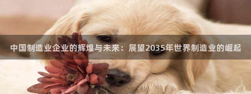 所有彩神购买首页都一样吗：中国制造业企业的辉煌与未来：展望2035年世界制造业的崛起