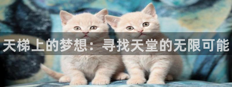 彩神8下载安卓版-彩神8(可提现)官网版1.0.0：天梯上的梦想：寻找天堂的无限可能