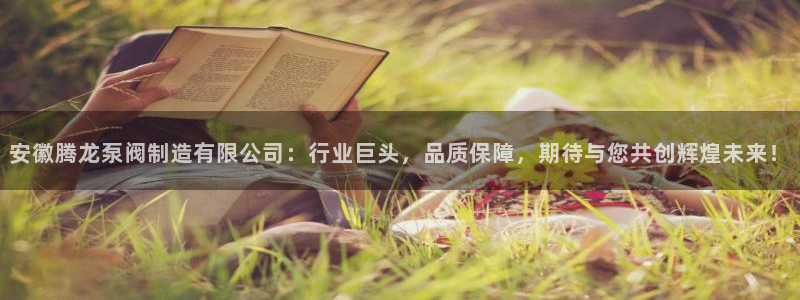 彩神ⅴll用户登录：安徽腾龙泵阀制造有限公司：行业巨头，品质保障，期待与您共创辉煌未来！