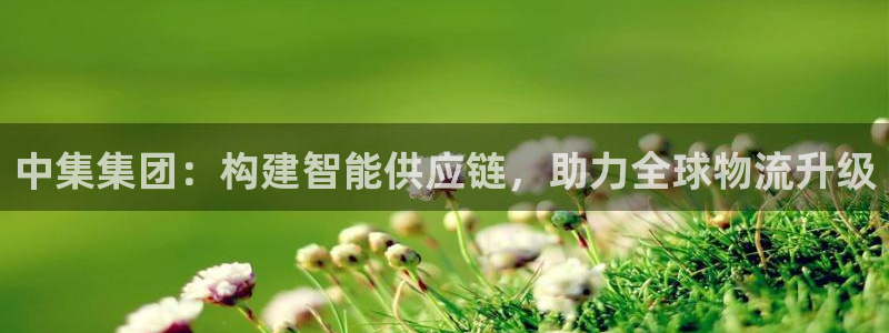彩神v8是一个什么平台游戏：中集集团：构建智能供应链，助力全球物流升级
