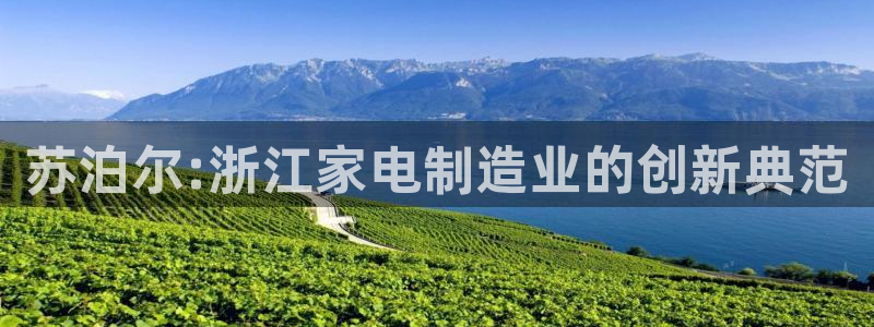 彩神iv是正规平台吗?：苏泊尔:浙江家电制造业的创新典范