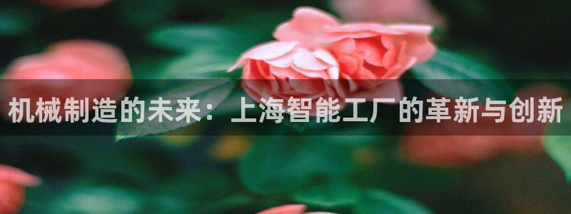 彩神官方网站登录是多少：机械制造的未来：上海智能工厂的革新与创新
