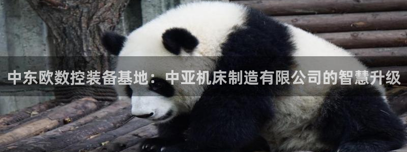 彩神ii官方网：中东欧数控装备基地：中亚机床制造有限公司的智慧升级