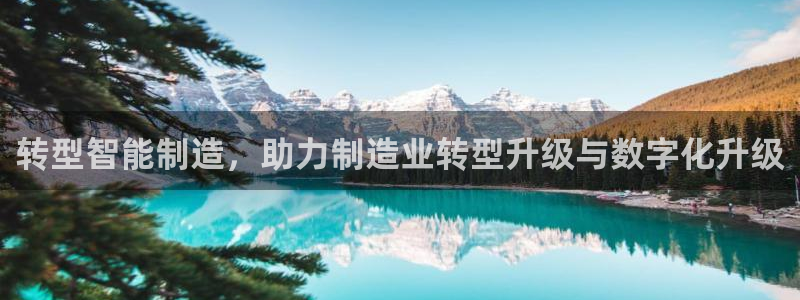 彩神购彩-购彩大厅入口下载：转型智能制造，助力制造业转型升级