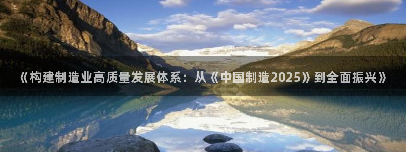 有谁知道彩神争霸的网址：《构建制造业高质量发展体系：从《中国制造2025》到全面振兴》