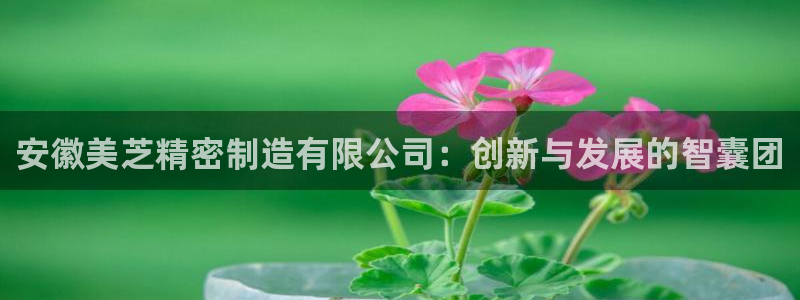 彩神系列平台：安徽美芝精密制造有限公司：创新与发展的智囊团