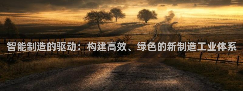 彩神平台：智能制造的驱动：构建高效、绿色的新制造工业体系