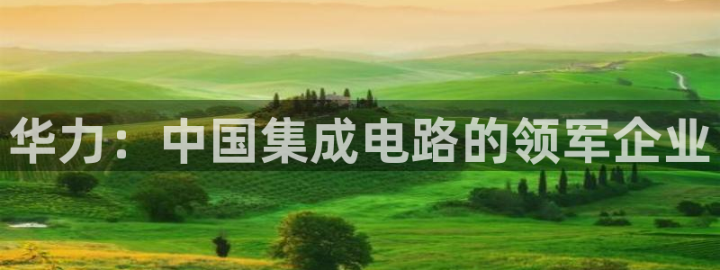 彩神8是正规平台吗安全吗：华力：中国集成电路的领军企业