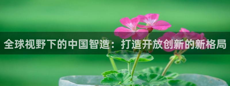彩神vlll官方网：全球视野下的中国智造：打造开放创新的新格局