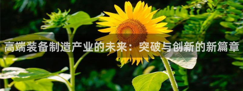 下载彩神乐发V：高端装备制造产业的未来：突破与创新的新篇章