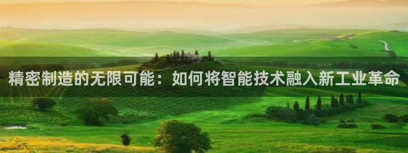 彩神ix官网是哪个公司的：精密制造的无限可能：如何将智能技术融入新工业革命