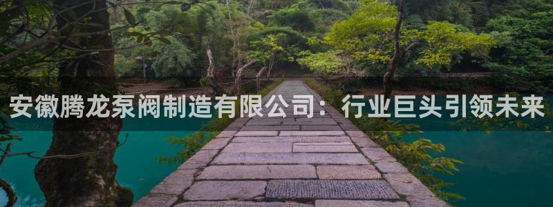 彩神8官网合法吗：安徽腾龙泵阀制造有限公司：行业巨头引领未来