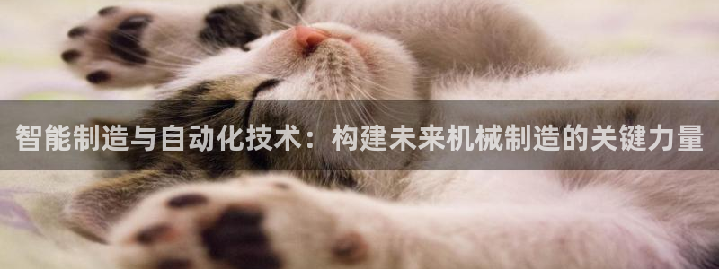 彩神VII官方版