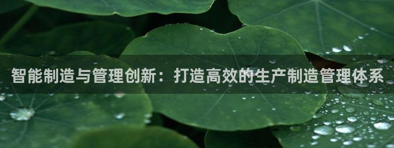 彩神v1破解器：智能制造与管理创新：打造高效的生产制造管理体系