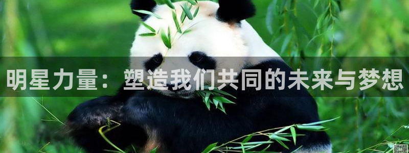 彩神赢钱了吗是真的吗