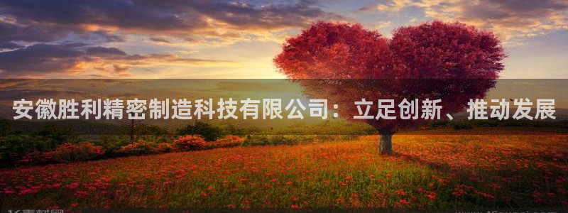 彩神v8购彩大厅登：安徽胜利精密制造科技有限公司：立足创新、推动发展