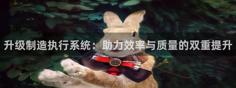 大发彩神最高邀请码：升级制造执行系统：助力效率与质量的双重提升