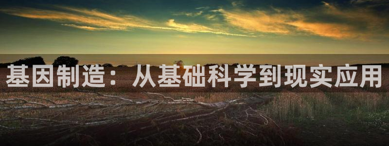彩神v大众娱乐