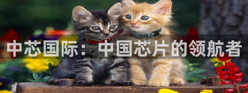 彩神ix平台：中芯国际：中国芯片的领航者