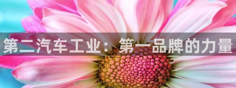 彩神app赚钱是真是假：第二汽车工业：第一品牌的力量