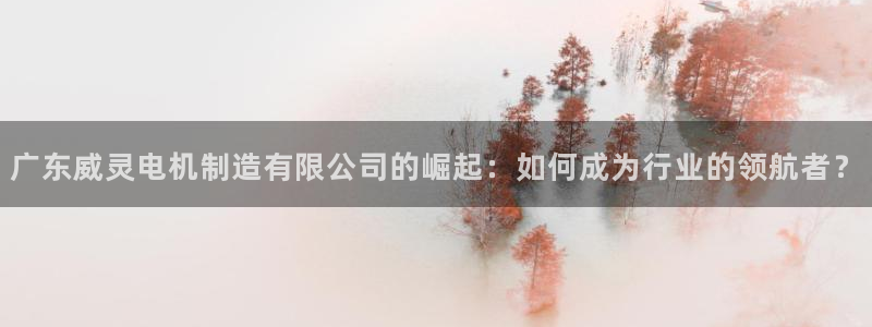 彩神是怎样一个平台赚钱的：广东威灵电机制造有限公司的崛起：如何成为行业的领航者？