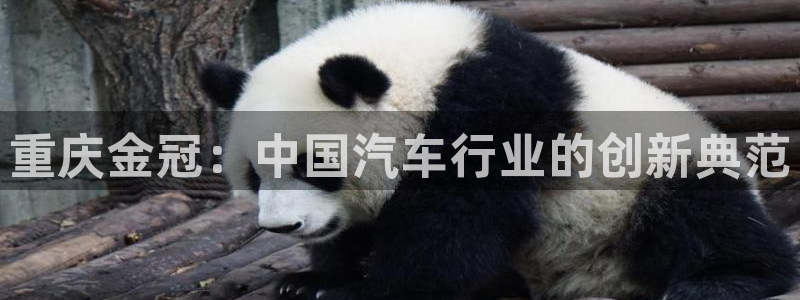彩神v违法么：重庆金冠：中国汽车行业的创新典范