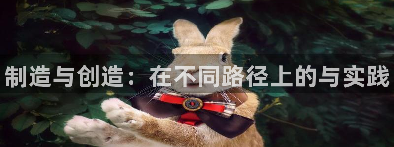 彩神vi官网版：制造与创造：在不同路径上的与实践