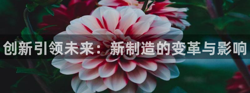 彩神app能挣到钱吗：创新引领未来：新制造的变革与影响