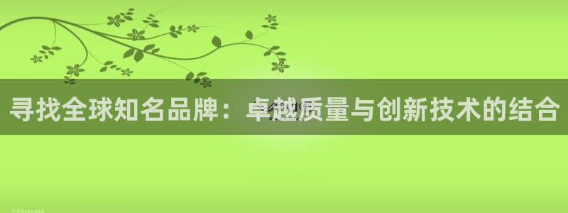 彩神8官网版：寻找全球知名品牌：卓越质量与创新技术的结合