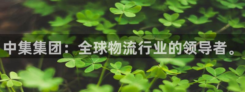 彩神网能赚钱是怎么回事