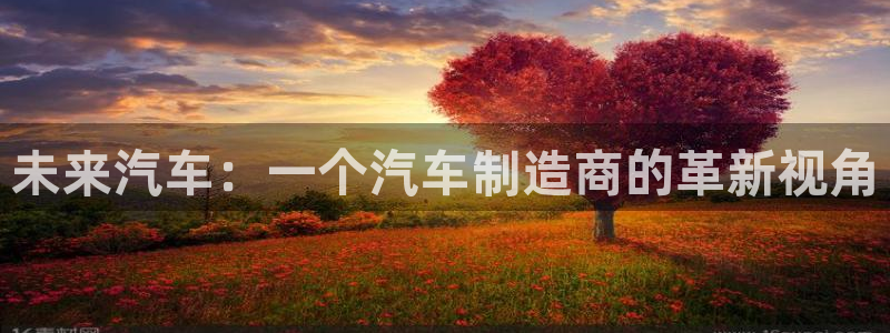 彩神趣购彩用户注册：未来汽车：一个汽车制造商的革新视角