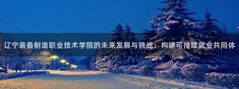 彩神iv能赚钱吗：辽宁装备制造职业技术学院的未来发展与挑战：构建可持续就业共同体