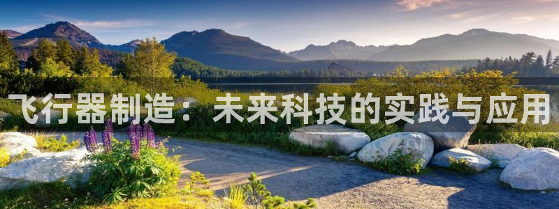 彩神8是正规平台吗安全吗：飞行器制造：未来科技的实践与应用